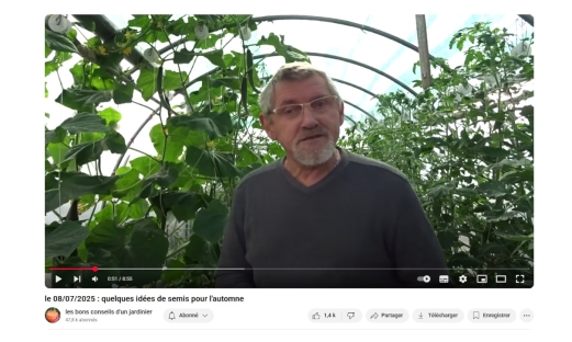 Idée de semis pour l'automne par Les bons conseil d'un jardinier 